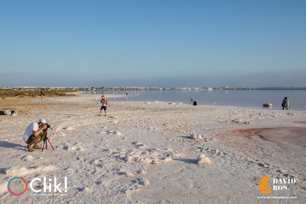 Salinas de Torrevieja