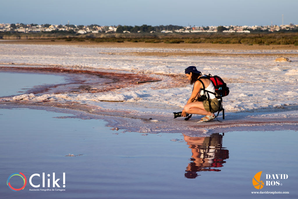 Salinas de Torrevieja