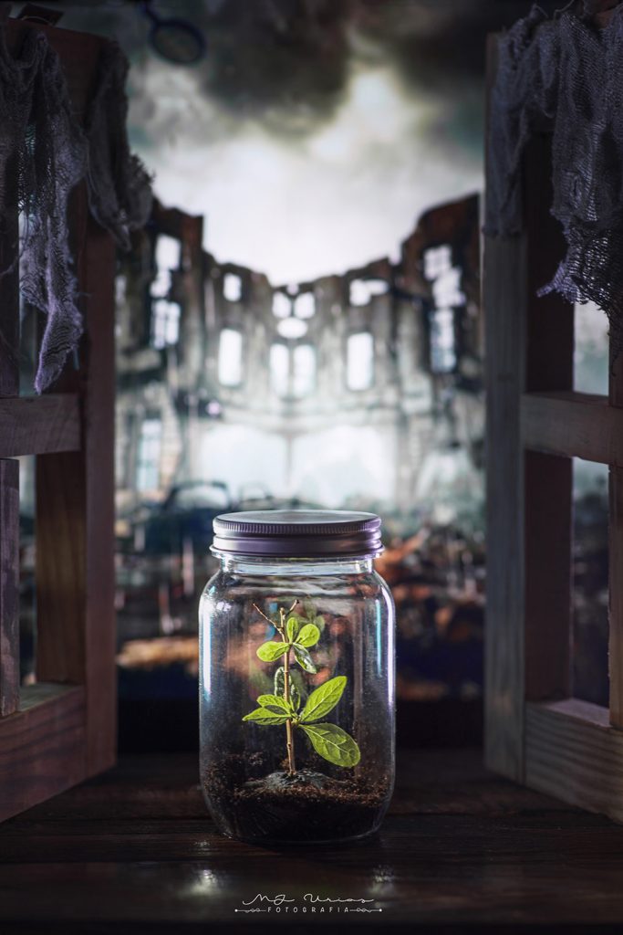 "Que nunca sea demasiado tarde", de María José Urios