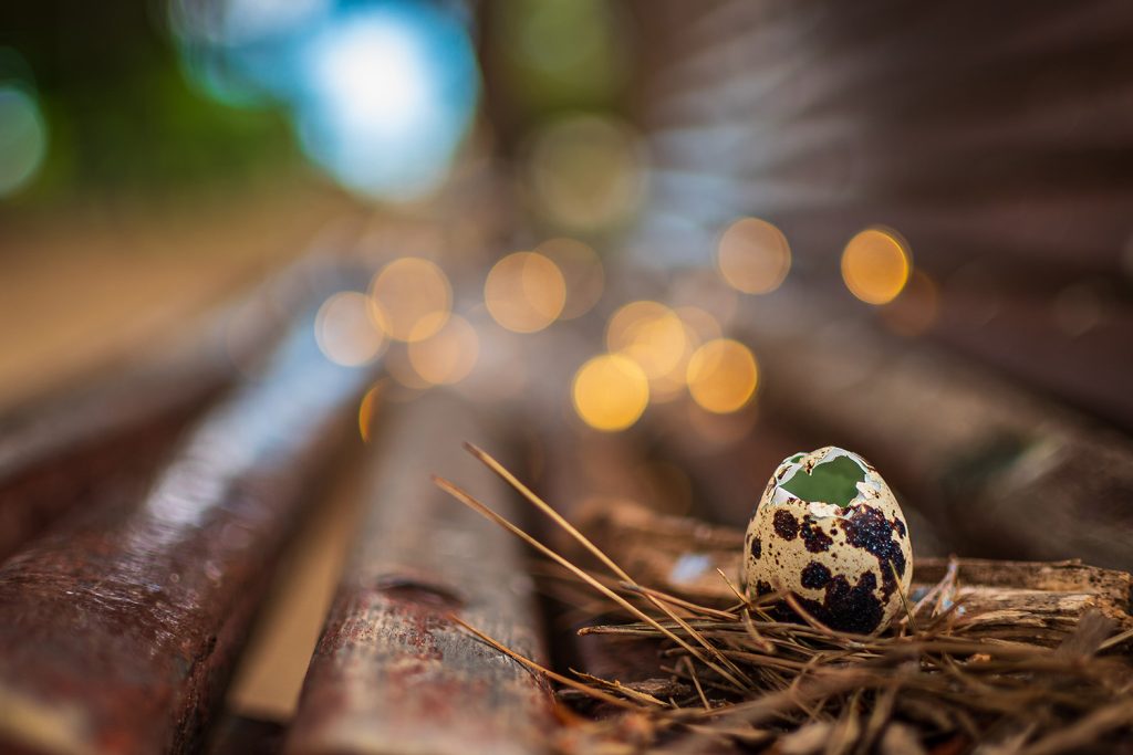 Vida, de José Luís Rueda