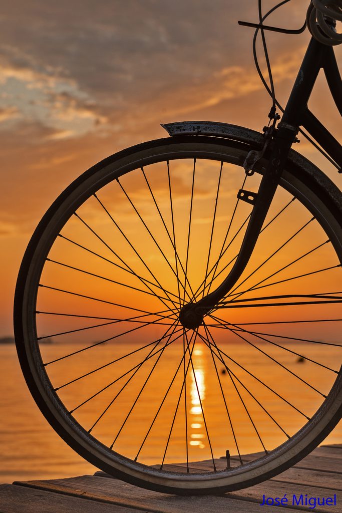 "Sol ciclista", de José Miguel