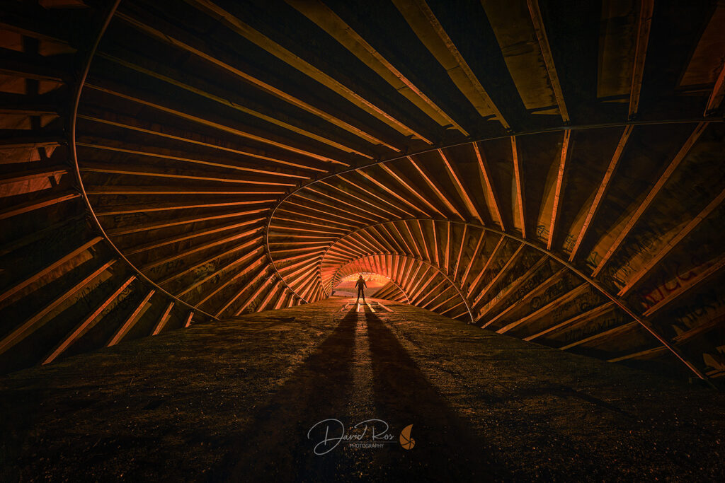 "Los guardianes 1.0 Luces y sombras", de David Ros