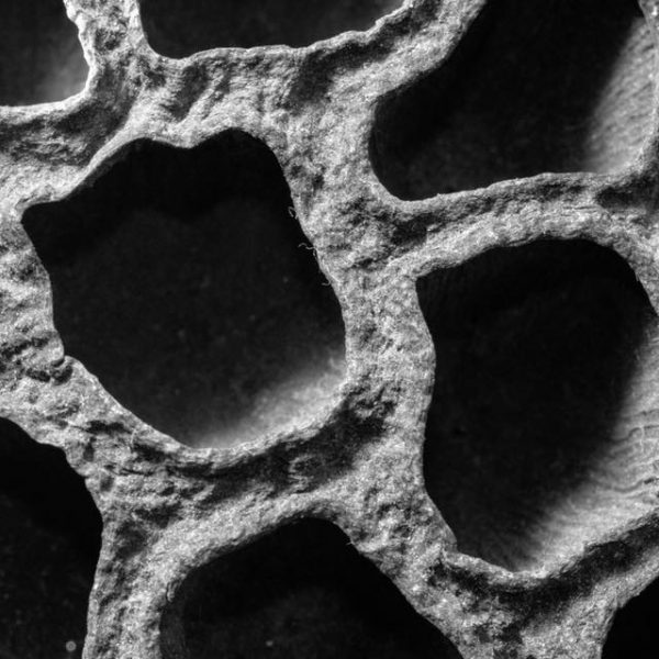 Estructuras Naturales - María José Urios