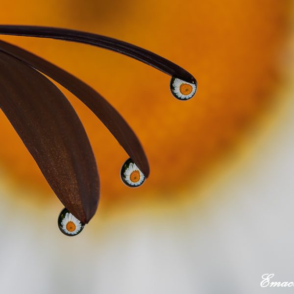 'Mañana de lluvia', de Encarna Manzanares