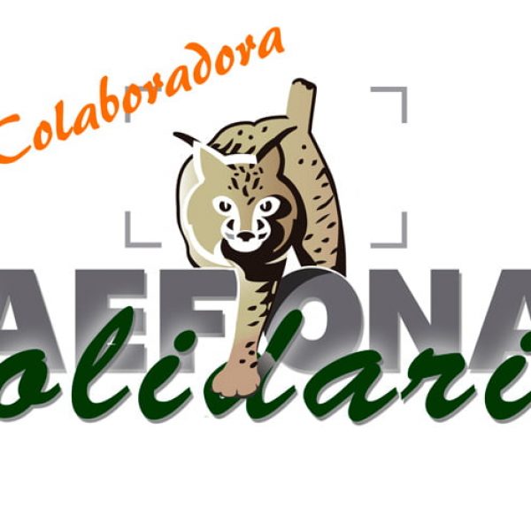 LOGO-AEFONA-Solidarios-colaboradores1W
