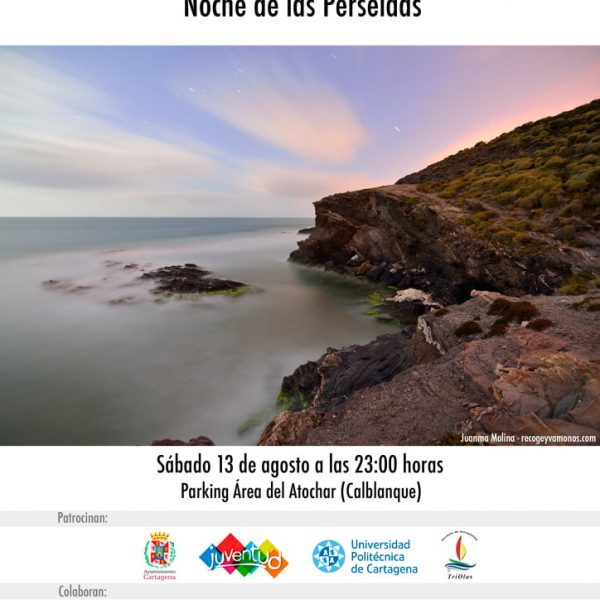 Perseidas16