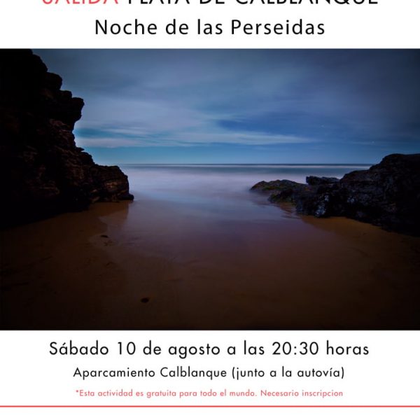 PerseidasW