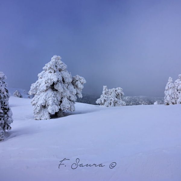 'Gigantes en la nieve' - Fernando Saura Yúfera